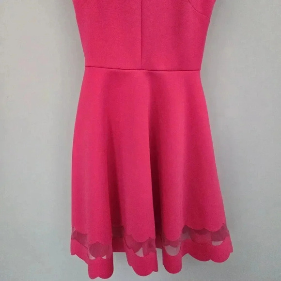 Ted Baker London Pink Sharlot Mesh Paneled Scallop Fit Flare Dress Size US 4 - Picture 5 of 9